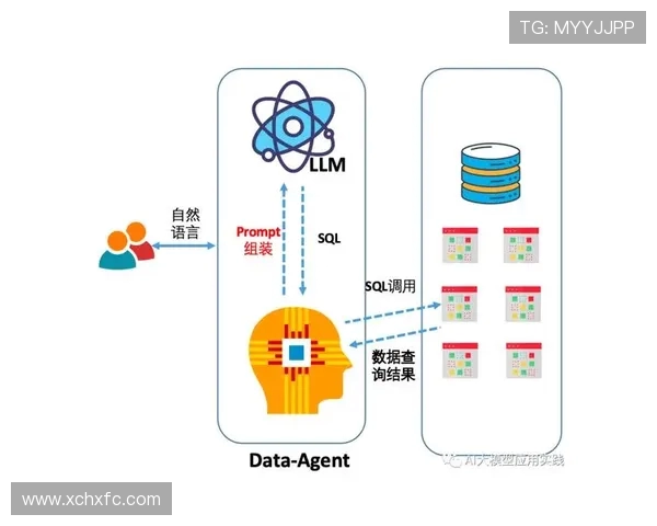 科学极限运动中的节奏训练方法探讨与应用技巧分析