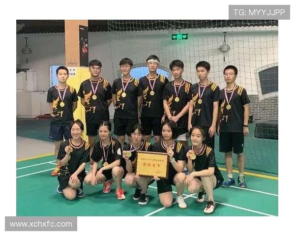 赛后分析广州羽毛球队与南京羽毛球队灵活性对比及战术启示