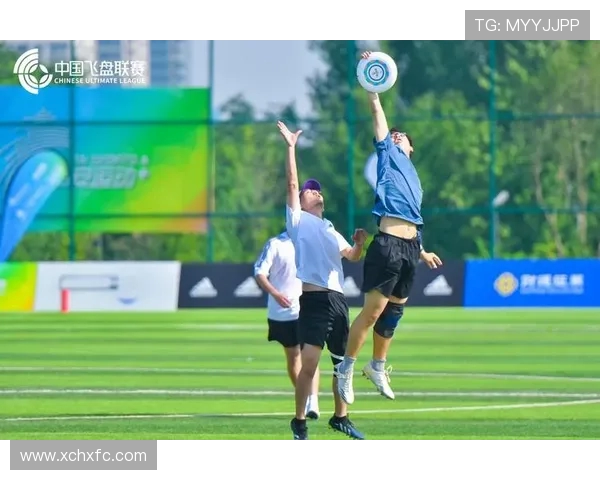 飞盘节奏排行榜发布杭州飞盘队荣登第四名引发热议